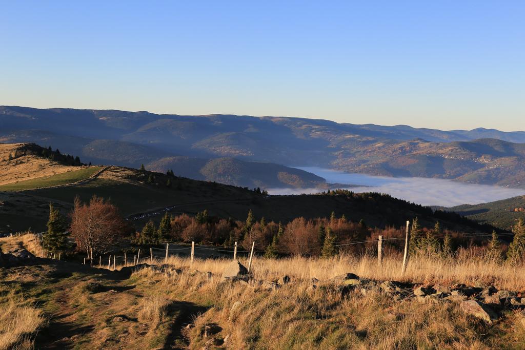 Le Holzberg et ses Suites Osenbach Exterior foto